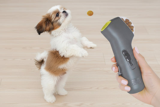 The "Snack-A-Pult" Interactive Treat Launcher