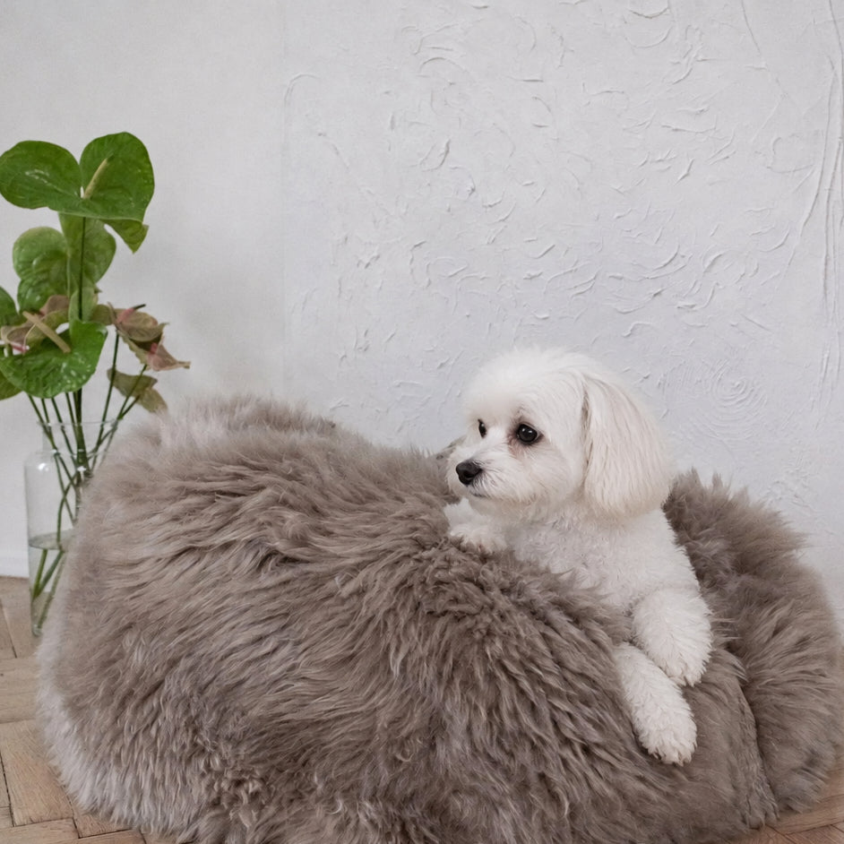The Tatra Natural Sheepskin Pouf Bed – Greige