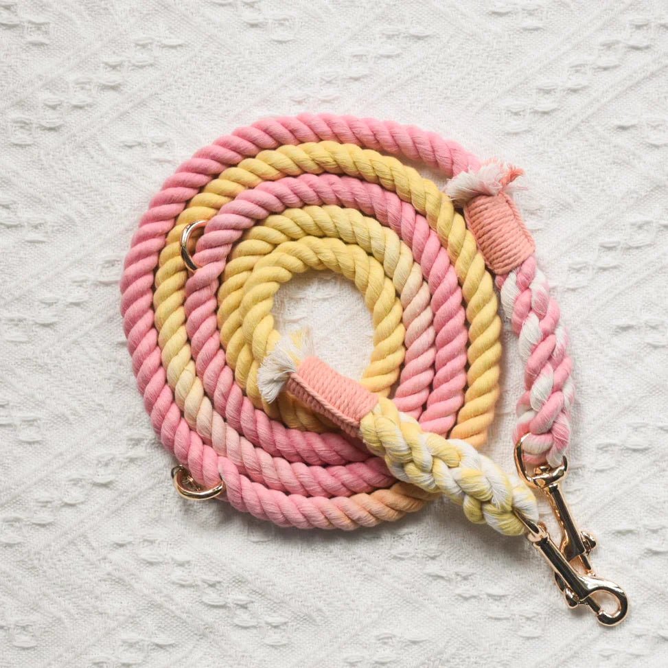 The Lumina Horizon Lead - OH MY MARSHMALLOW