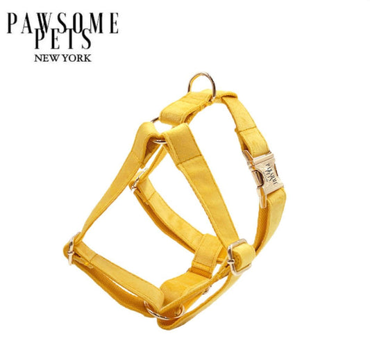 The Dark Yellow  Harness
