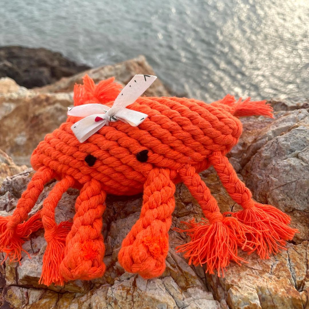 The Handcrafted Eco-Crab Rope Pet Toy