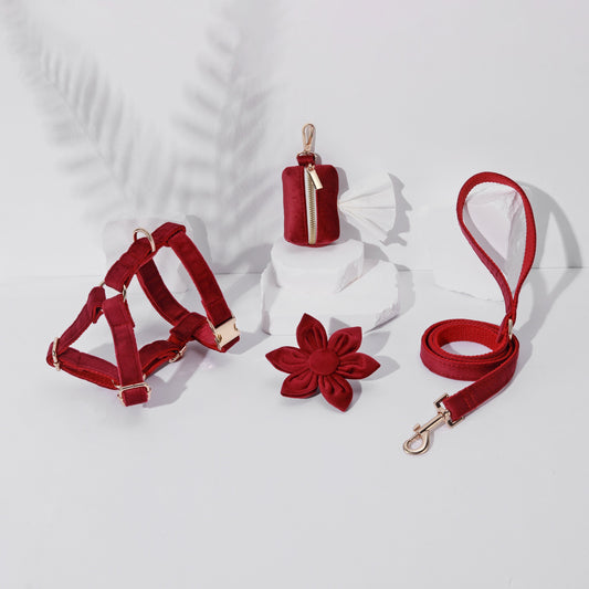 The Dawn Petal Promenade Set - BURGUNDY(4 pieces)