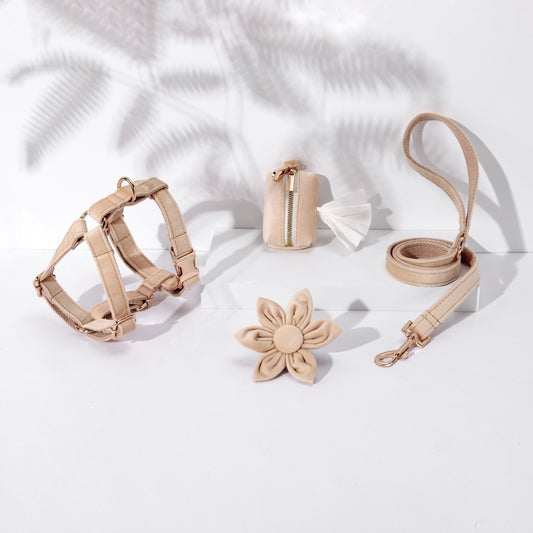 The Beige Promenade Ensemble (4-Piece Set)