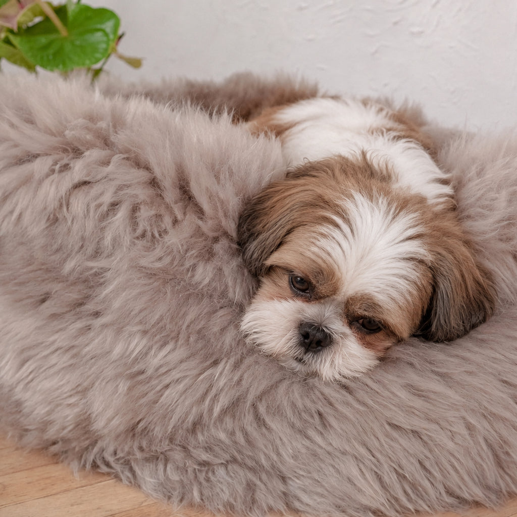 The Tatra Natural Sheepskin Pouf Bed – Greige