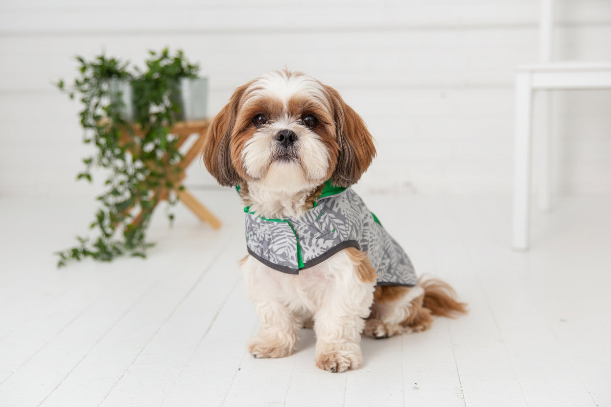 Emerald Green Reversible Raincoat
