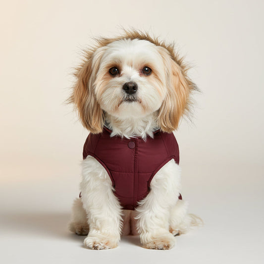 The Lumière Winter Parka