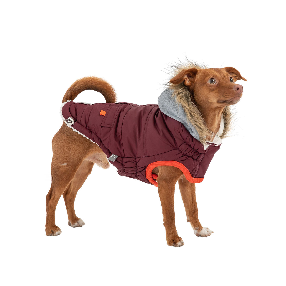 The Lumière Winter Parka