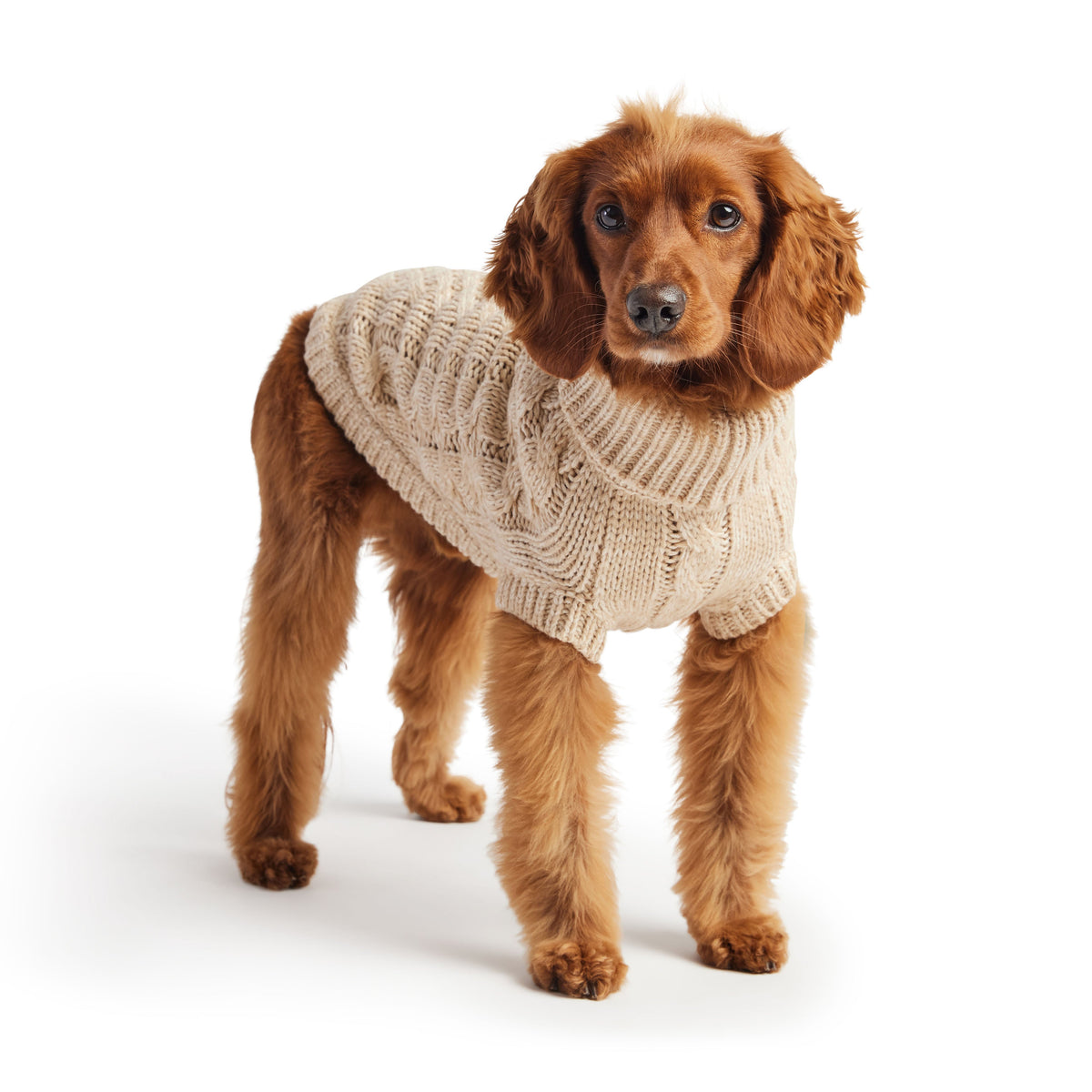 The Chalet Heirloom Cable Knit