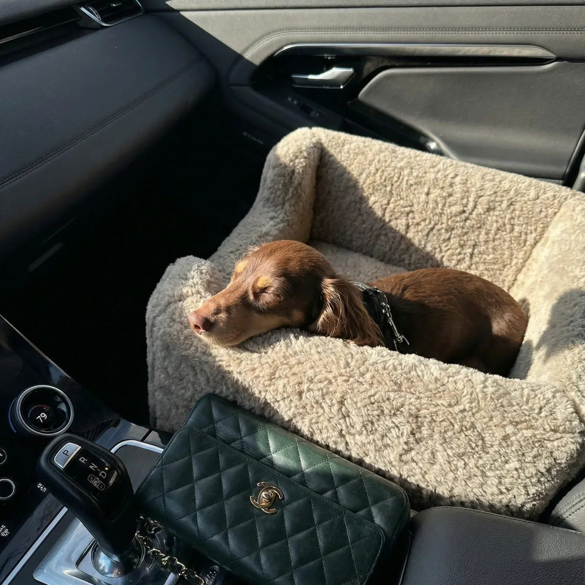 Natural Wool Dog Carrier - Beige