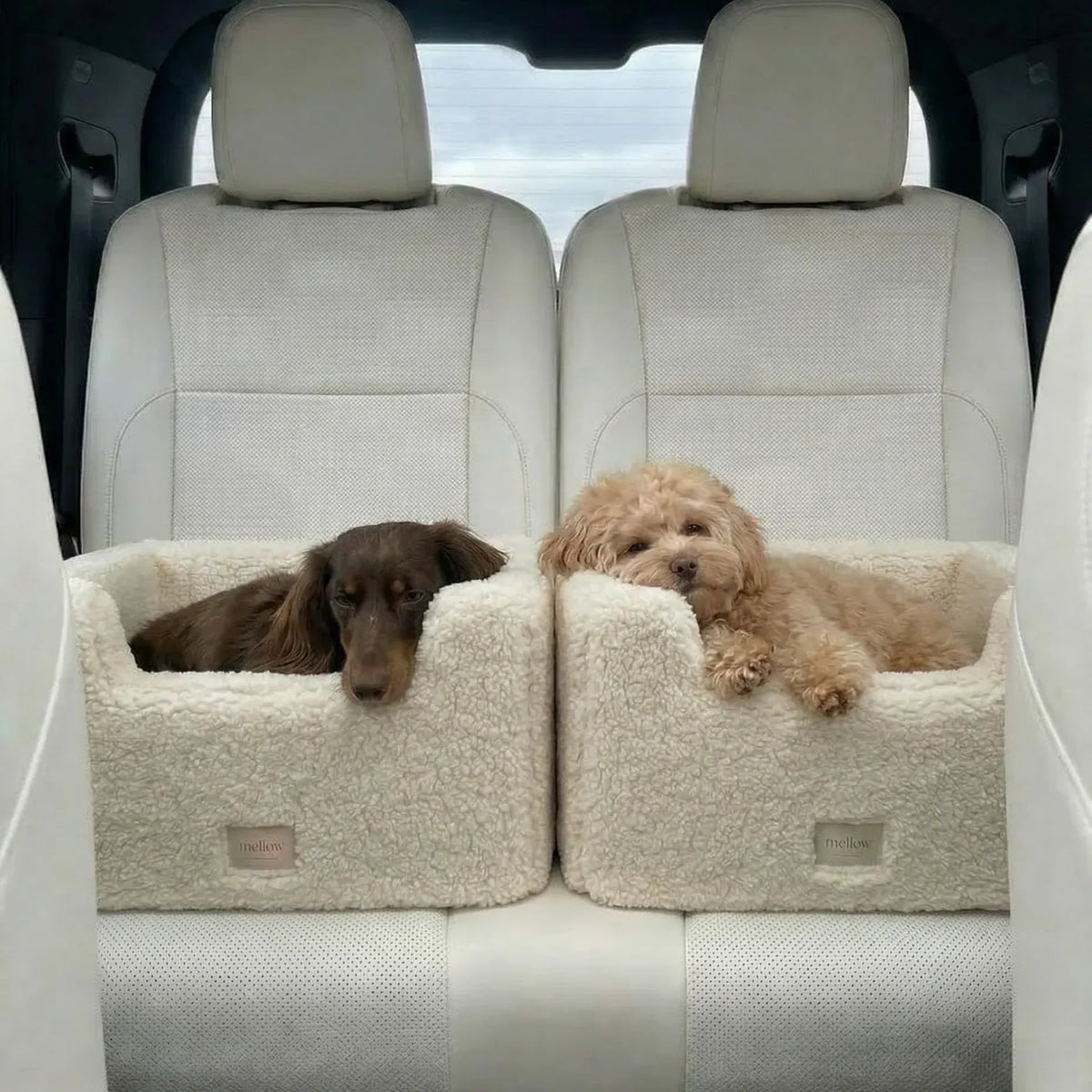 Natural Wool Dog Carrier - Beige
