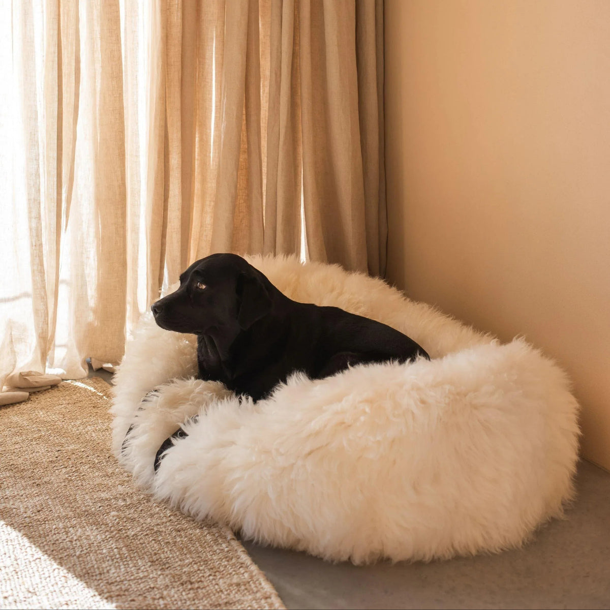 The Tatra Natural Sheepskin Pouf Bed – White / Ivory