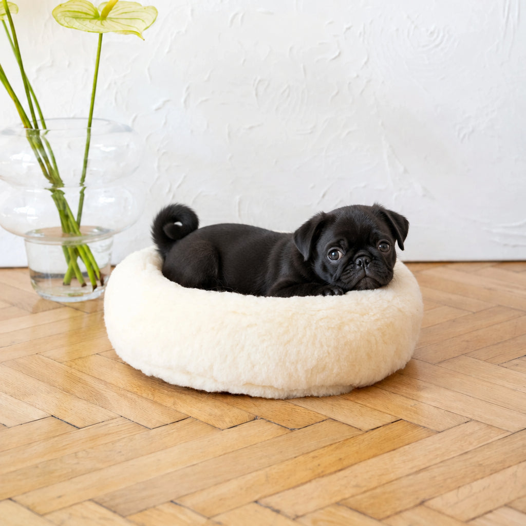 The Tatra Mountain Natural Wool Pet Bed -Natural White