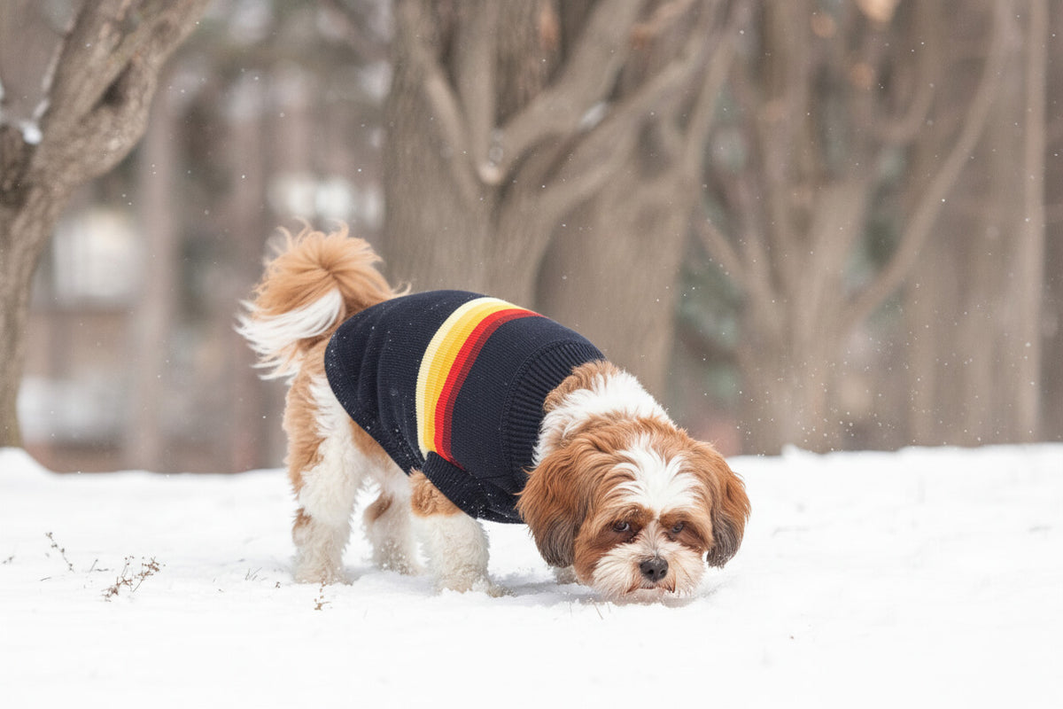 Retro Sweater - Navy