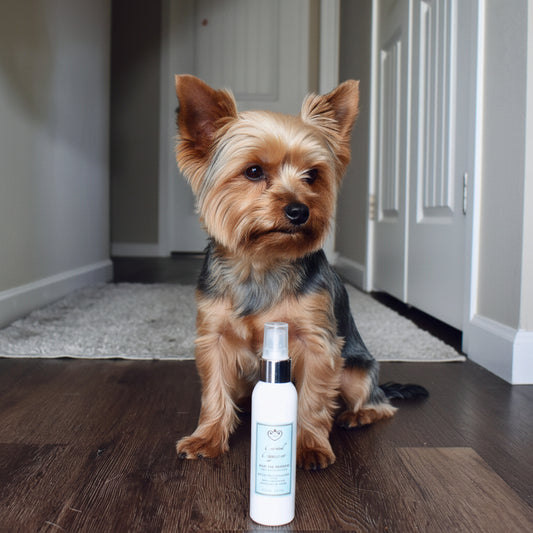 The Caramel Cappuccino Grooming Mist & Detangler