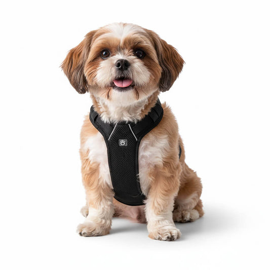 The Lumina Travel Harness